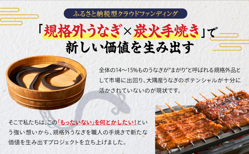 【10/1(木)より寄附金額改定予定】【全12回定期便】鰻の蒲焼 8尾（130g～180g×8）　KN026-T10