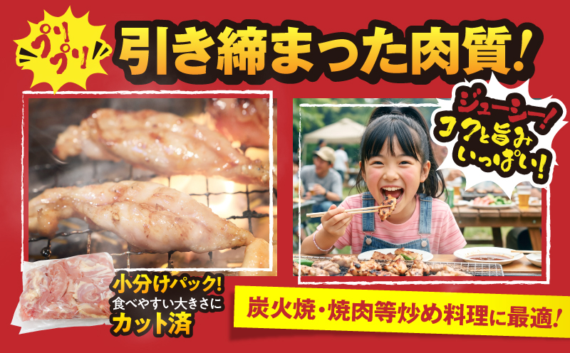 【10/1(木)より寄附金額改定予定】鹿児島県産若鶏せせり（小肉） 3kgセット　KN105-018