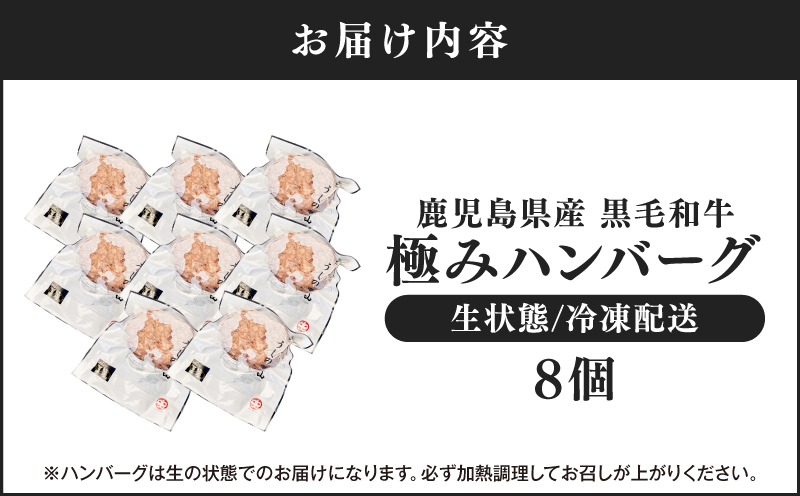 【10/1(木)より寄附金額改定予定】1104 鹿児島県産 黒毛和牛 極めたハンバーグ8個　KN050-001-03