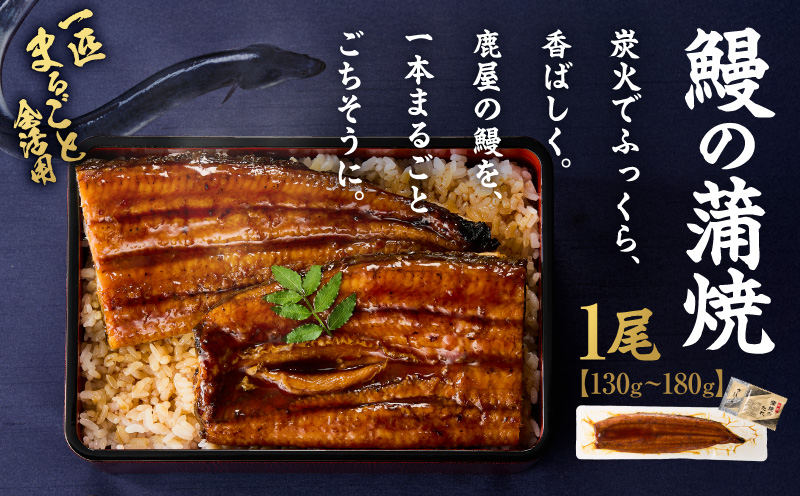 【10/1(木)より寄附金額改定予定】鰻の蒲焼 130g～180g×1尾　KN026-020