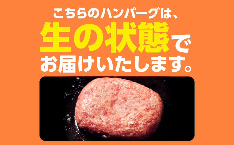 【10/1(木)より寄附金額改定予定】1104 鹿児島県産 黒毛和牛 極めたハンバーグ8個　KN050-001-03