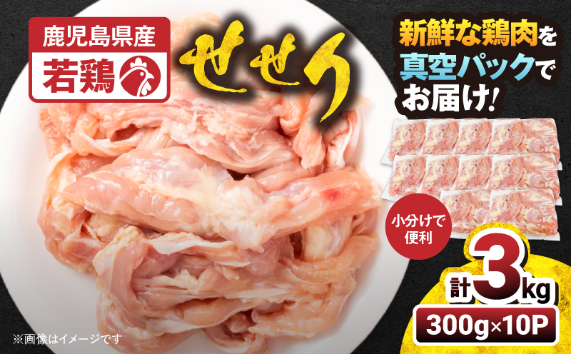【10/1(木)より寄附金額改定予定】鹿児島県産若鶏せせり（小肉） 3kgセット　KN105-018