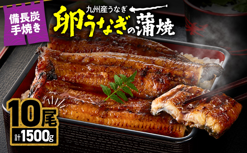 1645-1 九州産うなぎ 備長炭手焼『卵うなぎ』の蒲焼 10尾 計1,500g　KN029-005-05
