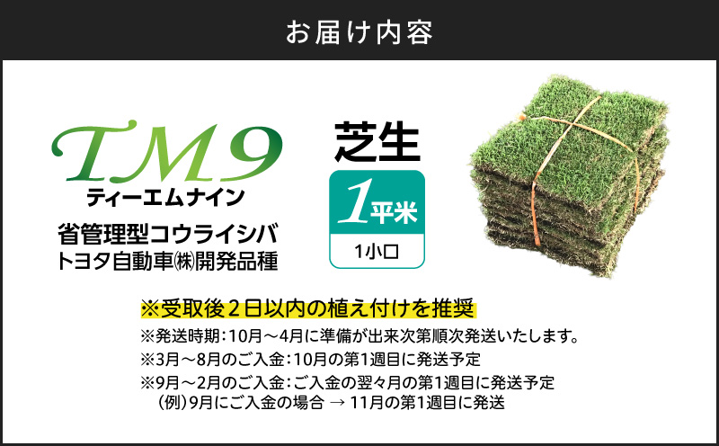 【10/1(木)より寄附金額改定予定】TM9（ティーエムナイン）省管理型コウライシバ トヨタ自動車(株)開発品種 1平米　KN080-007-01