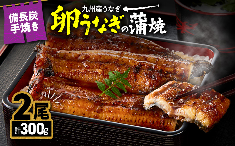 1642-1 九州産うなぎ 備長炭手焼『卵うなぎ』の蒲焼 2尾 計300g　KN029-005-01