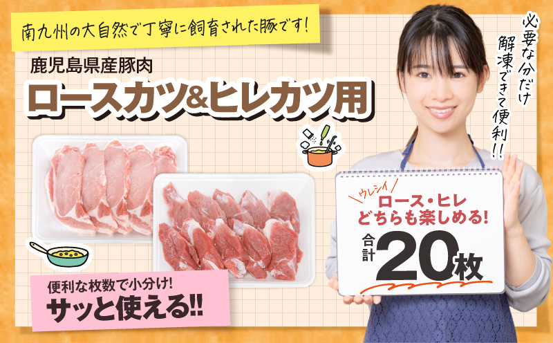 【10/1(木)より寄附金額改定予定】2640 豚肉ロースカツ、ヒレカツ用合計20枚セット　KN105-014