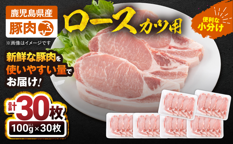 【10/1(木)より寄附金額改定予定】2641 豚肉ロースカツ用30枚セット　KN105-012