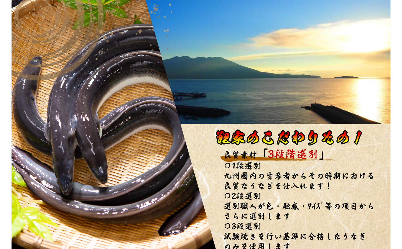 1722-2 【全3回定期便】大人気！鯉家の絶品蒲焼「真地焼きうなぎ（2尾）」【国産・手焼き備長炭】　KN040-T03