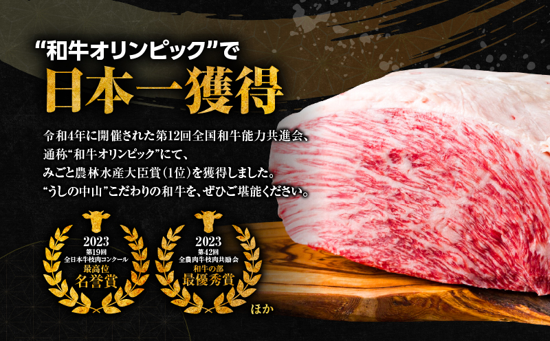 【10/1(木)より寄附金額改定予定】2540 【ナカヤマさんちのお肉】うしの中山レバー 500g（500g×1袋）　KN050-026