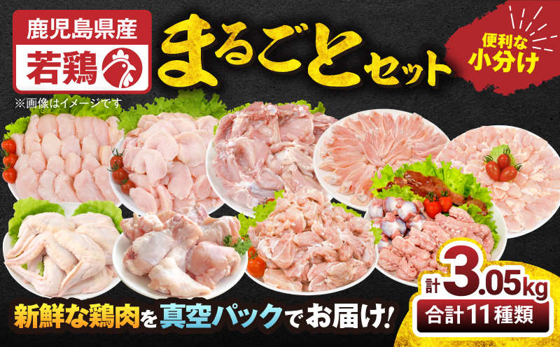 【10/1(木)より寄附金額改定予定】2649 若鶏まるごと3.05kgセット　KN105-006