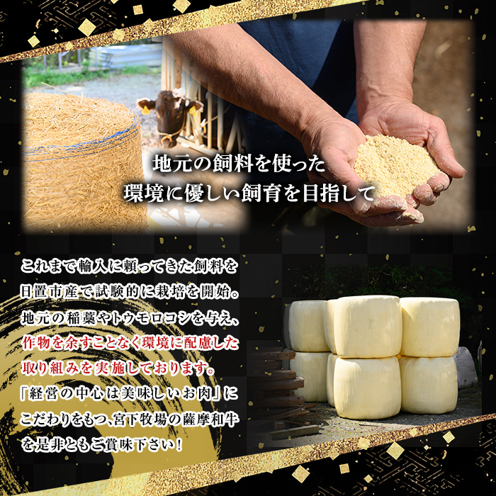 No.417 薩摩和牛のロースステーキ(2枚・計400g)国産 九州産 牛肉 和牛 ロース ステーキ 数量限定 焼肉 焼き肉 BBQ キャンプ 冷凍【さつま屋産業】