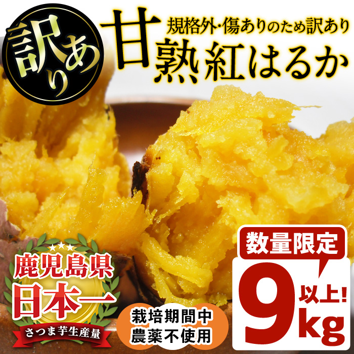 No.892 ＜訳あり・規格外＞栽培期間中農薬不使用 甘熟さつまいも(生)紅はるか9kg以上！(S～4Lサイズ 混在) 焼き芋 スイーツ 熟成 サイズ不揃い 野菜 先行予約 【上原農園】