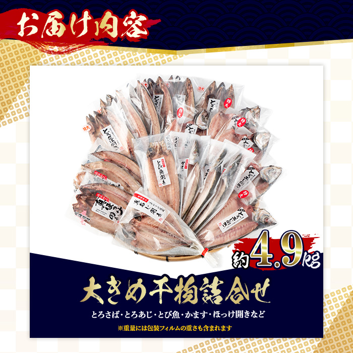 No.406-C 大きめ干物詰合せ＜合計約4.9kg＞ 干物 セット 詰め合わせ ひもの 魚介類 魚 あじ さば おかず おつまみ お楽しみ 【みのだ食品】