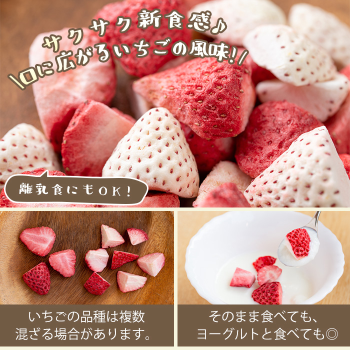 No.881 紅白苺のシュガー(60g×2瓶)とフリーズドライ(10g×1袋) 【ままりあ農園】