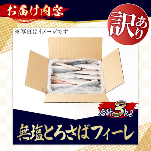 【三太郎の日限定】訳あり！無塩とろさばフィーレ(約3kg) 干物 さば サバ 鯖 魚介類 魚 訳アリ 人気 フィレ 不揃い 冷凍 切り身 切身 おかず 惣菜 お弁当 無塩 便利 No.1383-C【みのだ食品】