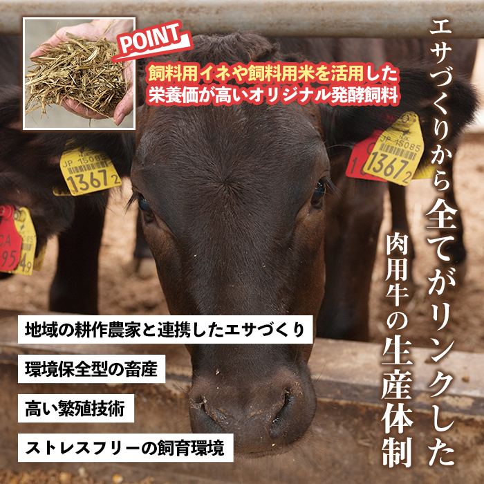 No.1376-A ＜定期便・全3回＞九州産 黒毛和牛切り落とし(総計2.7kg・300g×3P×３回) 牛肉 切落し 切り落し 和牛 冷凍 九州産 国産 小分け 国産牛 お肉 牛丼 野菜炒め カレー 定期便 冷凍 寄附額改定 小分け 【LRプラスK】