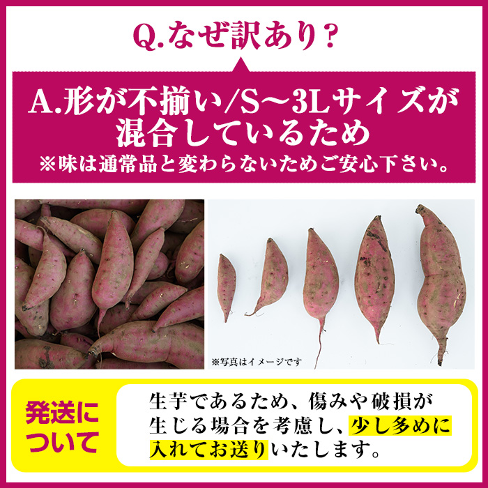 No.560-B ＜訳あり・不揃い＞鹿児島県日置市産さつまいも！熟成紅はるか(約12kg) 国産 九州産 サツマイモ  訳アリ 紅春香 熟成 芋 焼き芋 野菜 スイーツ 常温保存【末永商店】