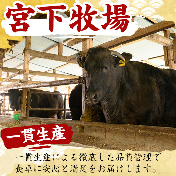 No.417 薩摩和牛のロースステーキ(2枚・計400g)国産 九州産 牛肉 和牛 ロース ステーキ 数量限定 焼肉 焼き肉 BBQ キャンプ 冷凍【さつま屋産業】