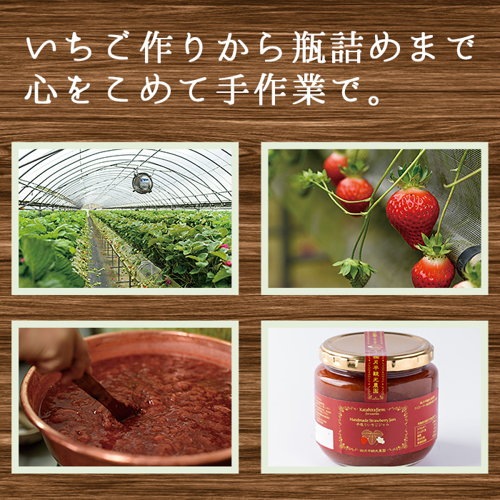 No.1382 手造りイチゴジャム(約500g×2本) 国産 鹿児島県産 いちご 苺 ジャム フルーツ 果物 手作り 調味料 小分け 贈答 プレゼント 着色料無添加 保存料無添加【片平観光農園】