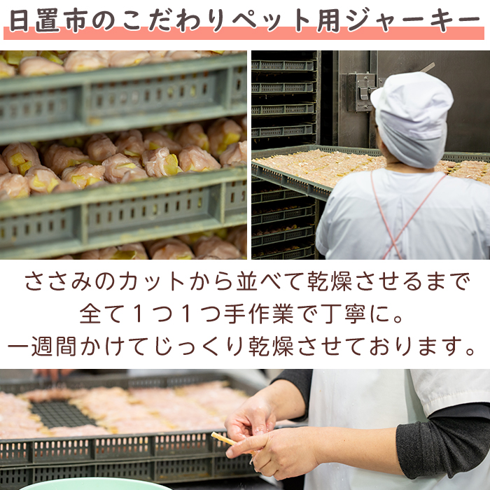 No.447-A 犬用おやつジャーキー ささみ細切り (計100g・50g×2袋) ささみ 鶏肉 お肉 レトルト ペット用 国産 乾燥 小分け 着色料不使用 保存料不使用 猫 小型 【末永商店】