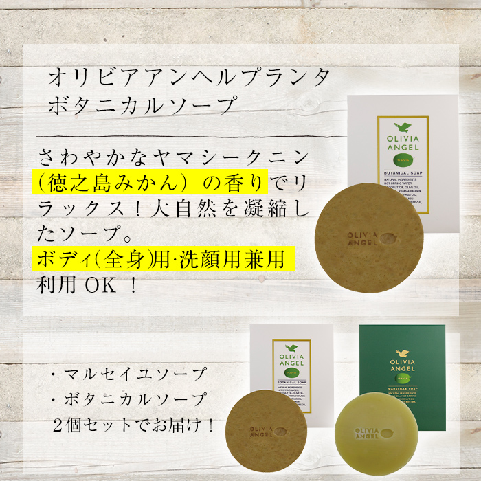 No.369 伝統的石鹸のマルセイユ石鹸とボタニカルソープセット 合計2個(各45g×1)固形石鹸 詰め合わせ 石鹸 せっけん ソープ オリーブオイル【鹿児島オリーブ】