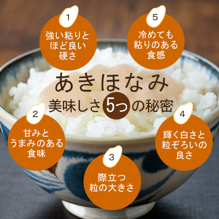 No.1353-B 鹿児島県産あきほなみ 精米 (計10kg) 国産 九州産 鹿児島 お米 10kg 小分け 米 白米 おこめ ごはん ご飯 ライス 弁当 おにぎり 【鹿児島パールライス】