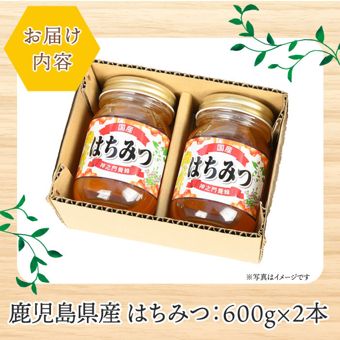 No.1074 鹿児島県産 はちみつ(600g×2本・計1.2kg) 国産 九州産 鹿児島県産 はちみつ ハチミツ 蜂蜜 山蜜 調味料 セット ギフト 贈答 プレゼント【神之門養蜂】