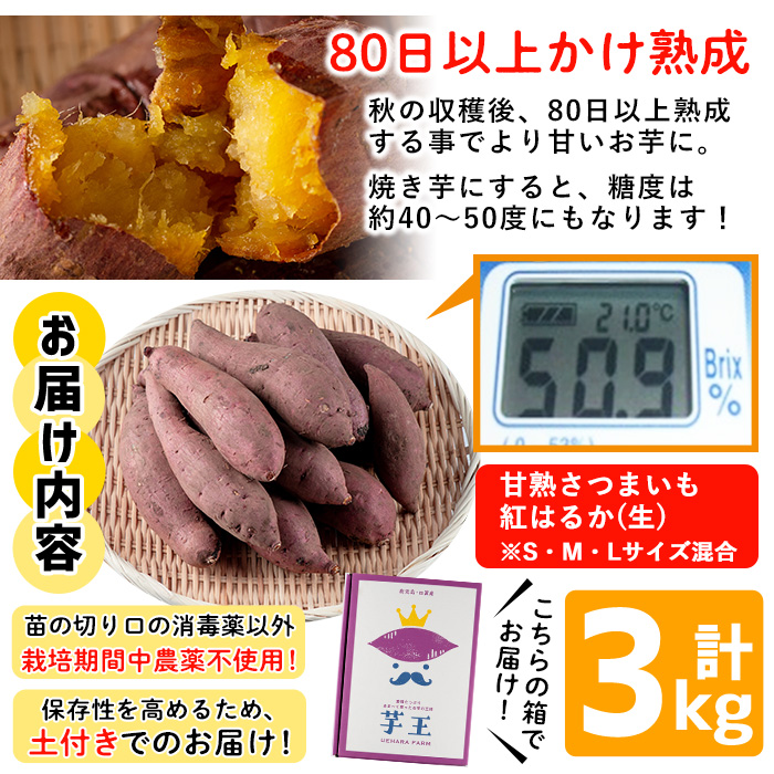 No.433 ＜先行予約受付中！＞鹿児島県産！栽培期間中農薬不使用 特選甘熟さつまいも(生)紅はるか3kg(S・M・Lサイズ 混在) 贈り物 焼き芋 大学芋 スイーツ ギフト 贈答用 【上原農園】