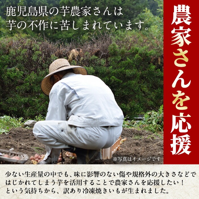 No.1345 ＜定期便＞＜訳あり・規格外＞小ぶり・不揃い 紅はるか冷凍焼きいも(計7.2kg・800g×3袋×3回) 国産 九州産 さつまいも 訳アリ 芋 野菜 スイーツ 冷凍【末永商店】