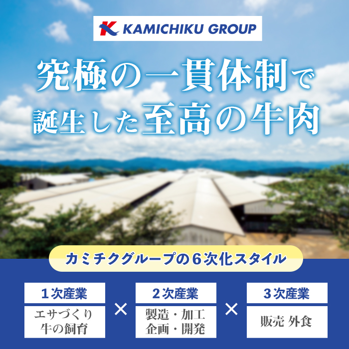 No.1376-A ＜定期便・全3回＞九州産 黒毛和牛切り落とし(総計2.7kg・300g×3P×３回) 牛肉 切落し 切り落し 和牛 冷凍 九州産 国産 小分け 国産牛 お肉 牛丼 野菜炒め カレー 定期便 冷凍 寄附額改定 小分け 【LRプラスK】