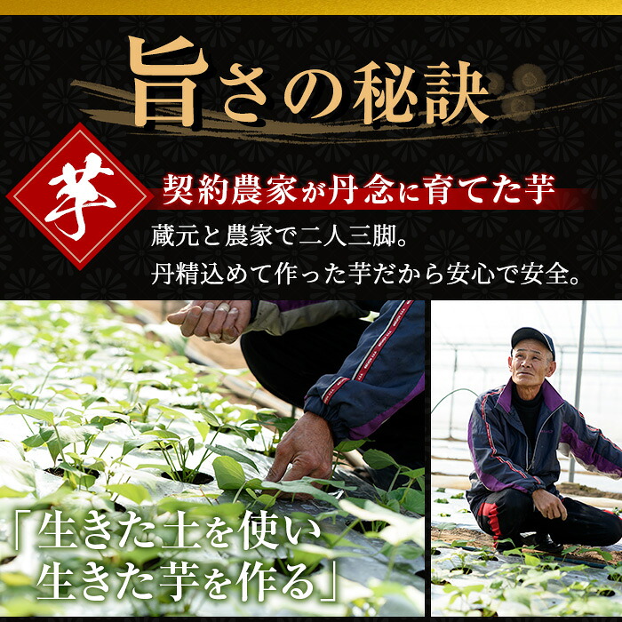 No.018 本格焼酎ふるさと鹿児島限定セット(900ml×6本) 酒 焼酎 さつま芋 米麹 アルコール 常温 常温保存 飲み比べ セット 頒布会 選べる【小正醸造】