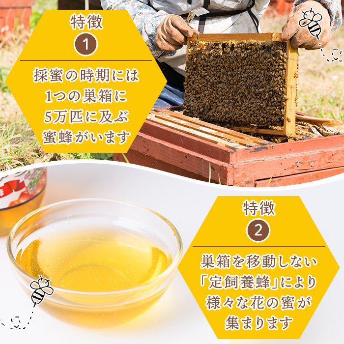 No.1074 鹿児島県産 はちみつ(600g×2本・計1.2kg) 国産 九州産 鹿児島県産 はちみつ ハチミツ 蜂蜜 山蜜 調味料 セット ギフト 贈答 プレゼント【神之門養蜂】