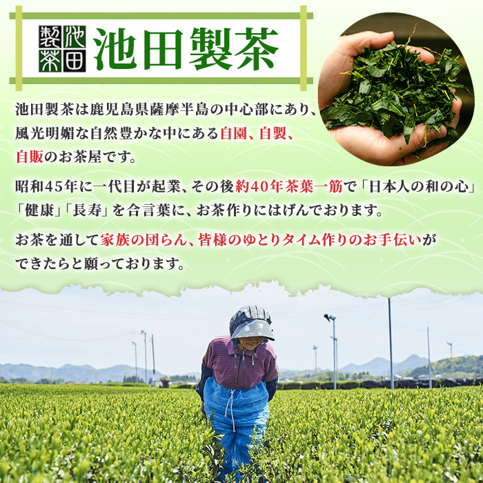 No.1329 日置市産緑茶！茶農家のおすそ分け(230g×5本) 国産 九州産 鹿児島県産 日本茶 お茶 茶葉 緑茶 セット 簡易包装 自宅用 一番茶 新芽 数量限定 常温 常温保存【池田製茶】