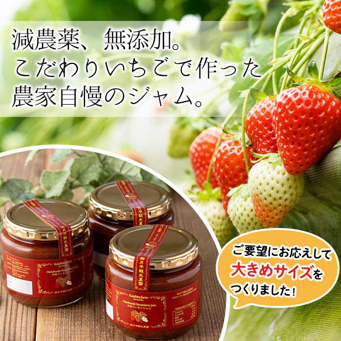 No.1382 手造りイチゴジャム(約500g×2本) 国産 鹿児島県産 いちご 苺 ジャム フルーツ 果物 手作り 調味料 小分け 贈答 プレゼント 着色料無添加 保存料無添加【片平観光農園】