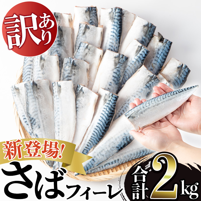 No.1383-B  訳あり！無塩とろさばフィーレ(約2kg) 干物 さば サバ 鯖 魚介類 魚 訳アリ 人気 フィレ 不揃い 冷凍 切り身 切身 おかず 惣菜 お弁当 無塩 便利 【みのだ食品】