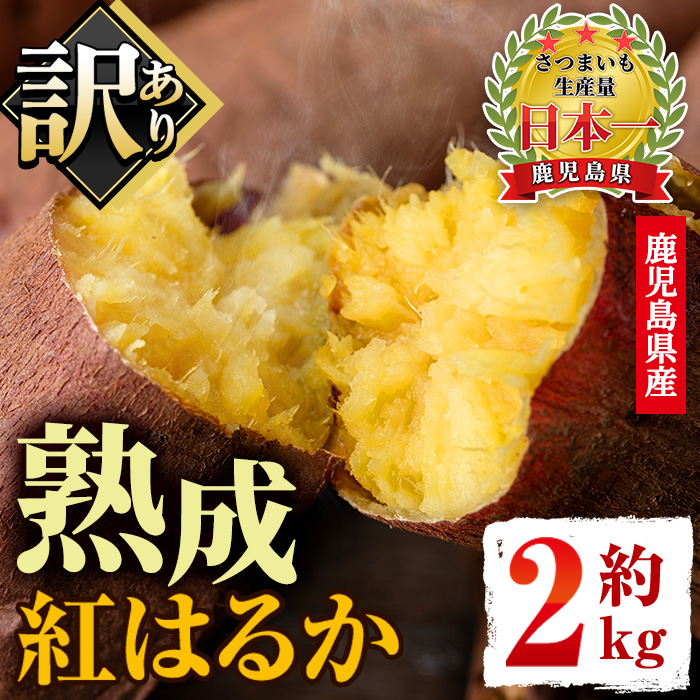 No.560-C ＜訳あり・不揃い＞鹿児島県産さつまいも！熟成紅はるか(約2kg) 国産 九州産 サツマイモ 訳アリ 紅春香 熟成 芋 焼き芋 野菜 スイーツ 常温 常温保存【末永商店】