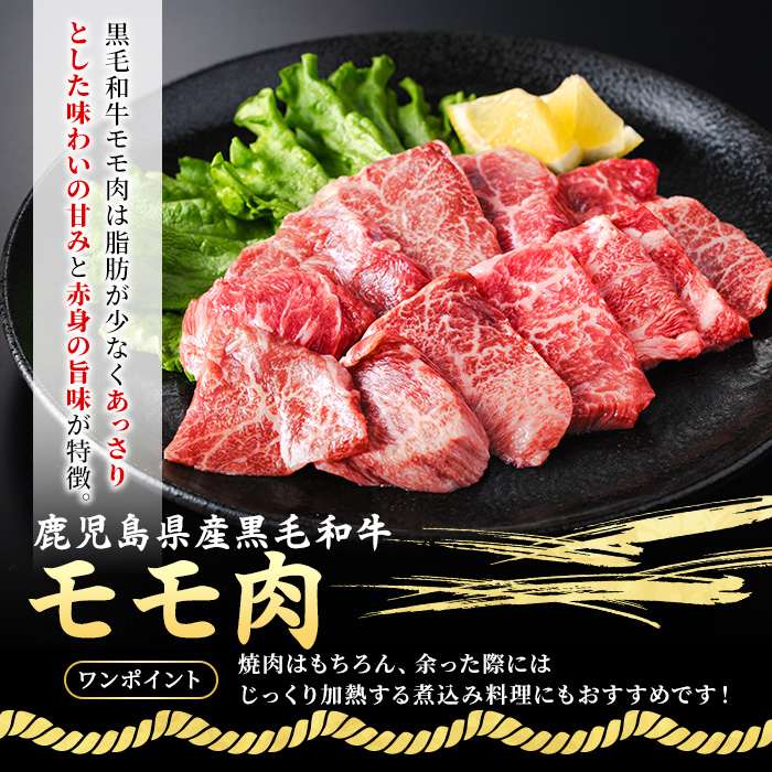 No.1360 黒毛和牛・黒豚バラの焼肉＆黒毛和牛ステーキのセット(合計1.1kg！和牛ロース/バラ200g・和牛モモ200g・和牛ロースステーキ200g×2・黒豚バラ300g)  【NBフード】