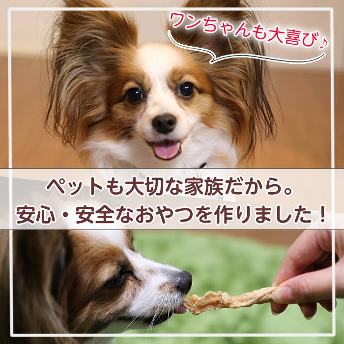 No.447-A 犬用おやつジャーキー ささみ細切り (計100g・50g×2袋) ささみ 鶏肉 お肉 レトルト ペット用 国産 乾燥 小分け 着色料不使用 保存料不使用 猫 小型 【末永商店】