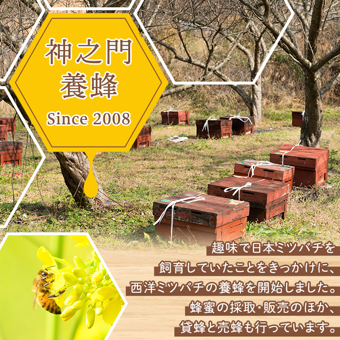 No.1074 鹿児島県産 はちみつ(600g×2本・計1.2kg) 国産 九州産 鹿児島県産 はちみつ ハチミツ 蜂蜜 山蜜 調味料 セット ギフト 贈答 プレゼント【神之門養蜂】