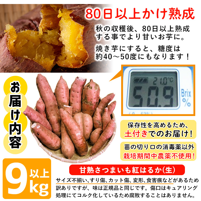 No.892 ＜訳あり・規格外＞栽培期間中農薬不使用 甘熟さつまいも(生)紅はるか9kg以上！(S～4Lサイズ 混在) 焼き芋 スイーツ 熟成 サイズ不揃い 野菜 先行予約 【上原農園】