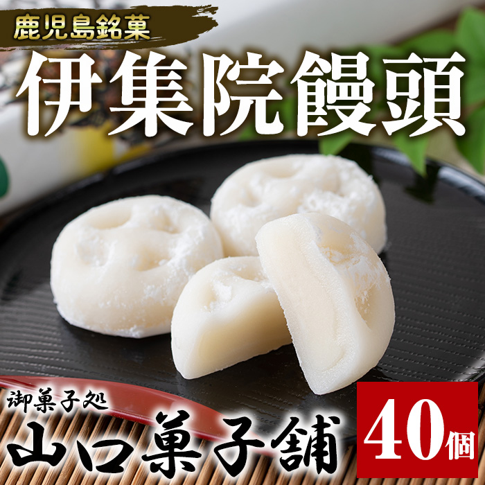 No.1007-B 伊集院饅頭(40個) 伊集院銘菓 日置市 セット 和菓子 スイーツ 郷土菓子 お菓子 ギフト 贈答品 贈り物【山口菓子舗】