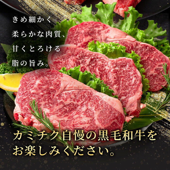 No.546 鹿児島県産黒毛和牛ヒレステーキ2種盛り(計440g・220g×2P)国産 九州産 牛肉 黒毛和牛 和牛 国産牛 ヒレ ステーキ 冷凍【LRプラスK】