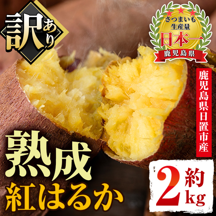 No.560-C ＜訳あり・不揃い＞鹿児島県日置市産さつまいも！熟成紅はるか(約2kg) 国産 九州産 サツマイモ 訳アリ 紅春香 熟成 芋 焼き芋 野菜 スイーツ 常温 常温保存【末永商店】