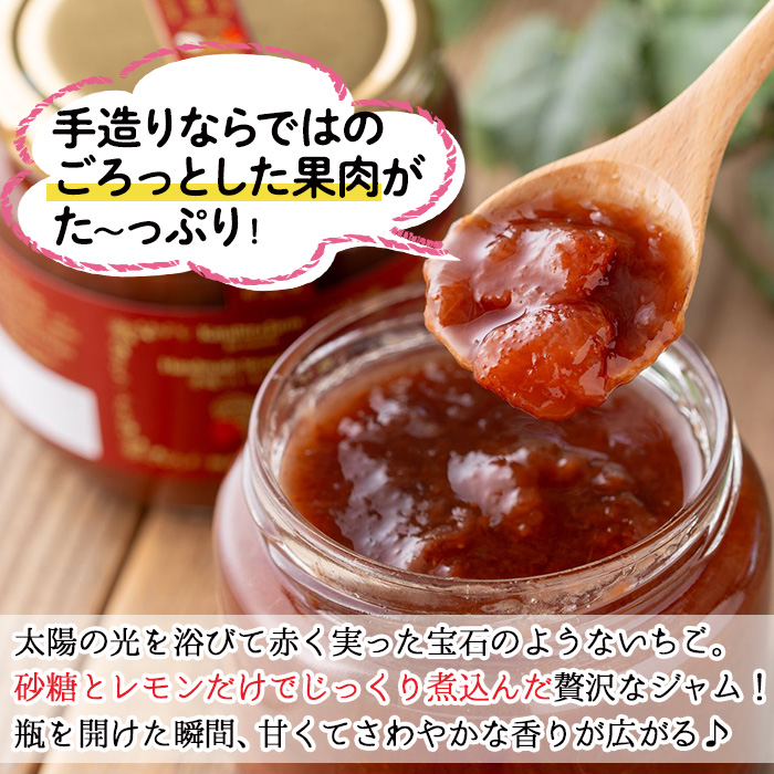 No.1382 手造りイチゴジャム(約500g×2本) 国産 鹿児島県産 いちご 苺 ジャム フルーツ 果物 手作り 調味料 小分け 贈答 プレゼント 着色料無添加 保存料無添加【片平観光農園】