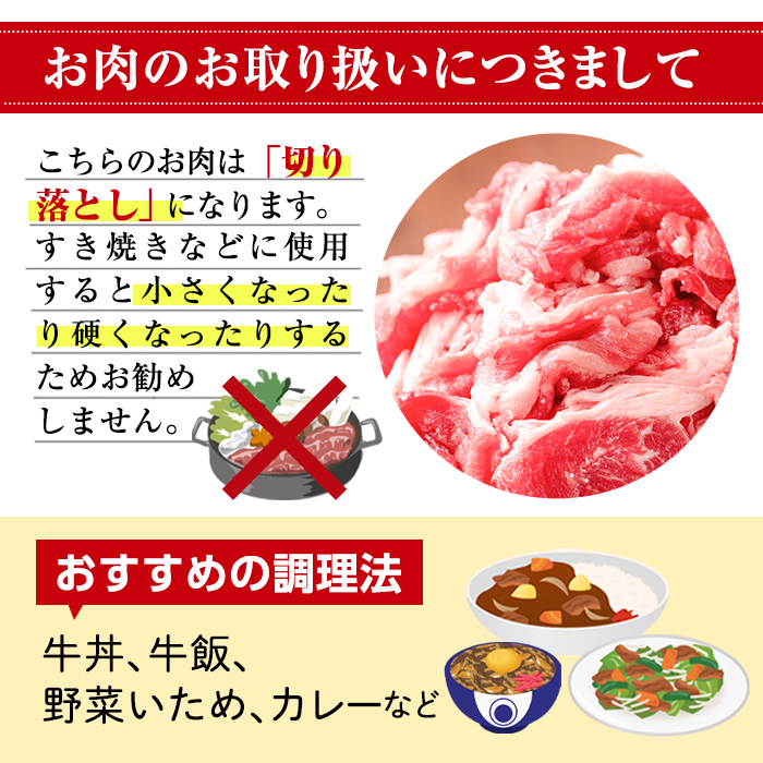 No.1376-A ＜定期便・全3回＞九州産 黒毛和牛切り落とし(総計2.7kg・300g×3P×３回) 牛肉 切落し 切り落し 和牛 冷凍 九州産 国産 小分け 国産牛 お肉 牛丼 野菜炒め カレー 定期便 冷凍 寄附額改定 小分け 【LRプラスK】