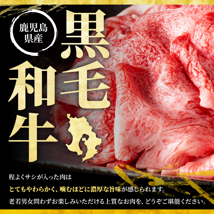 No.1361 黒毛和牛すき焼き・黒豚しゃぶしゃぶセット(合計1kg！黒毛和牛すき焼き用500g・黒豚しゃぶしゃぶ用500g)  鹿児島県産 牛肉 豚肉 おかず ステーキ ロース 【NBフード】