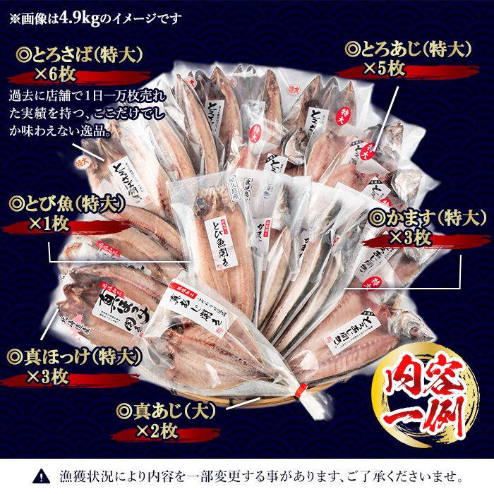 No.406-C 大きめ干物詰合せ＜合計約4.9kg＞ 干物 セット 詰め合わせ ひもの 魚介類 魚 あじ さば おかず おつまみ お楽しみ 【みのだ食品】