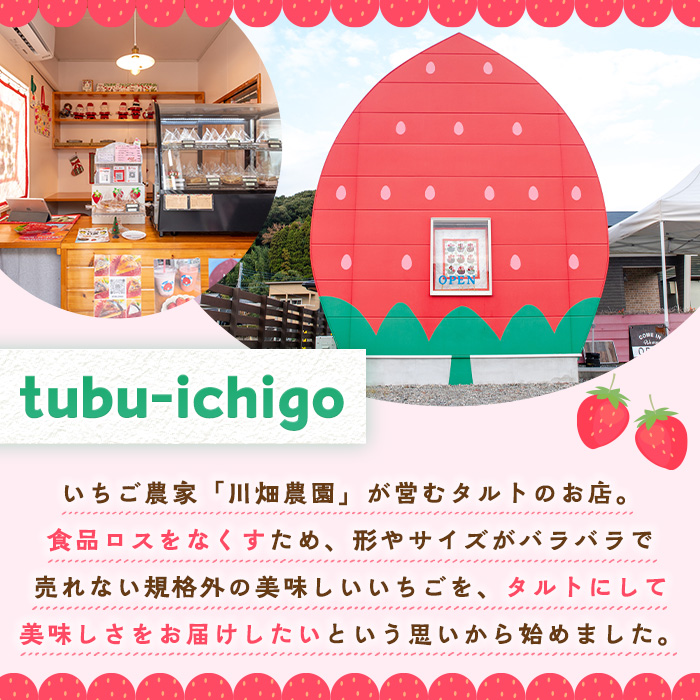 No.1316 いちごのタルトアソートセット(6種) 国産 スイーツ ケーキ タルト デザート いちご 菓子 お菓子 冷凍 ご褒美 プチ贅沢 ギフト 贈答品 ホワイトデー【tubu-ichigo】