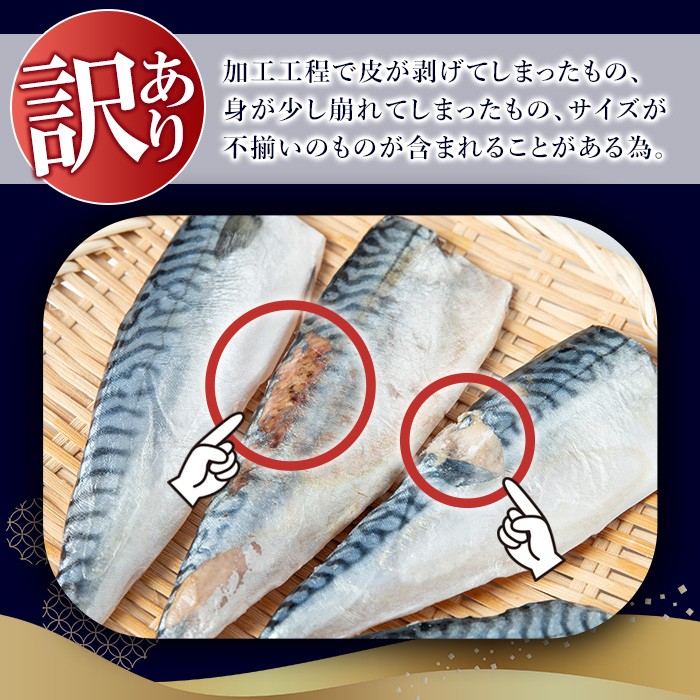 No.1383-C 訳あり！無塩とろさばフィーレ(約3kg) 干物 さば サバ 鯖 魚介類 魚 訳アリ 人気 フィレ 不揃い 冷凍 切り身 切身 おかず 惣菜 お弁当 無塩 便利 【みのだ食品】