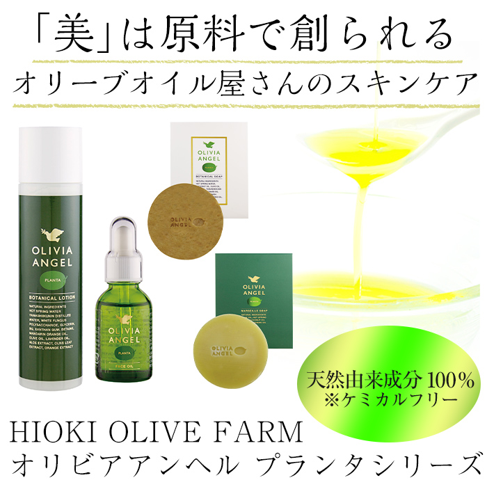 No.369 伝統的石鹸のマルセイユ石鹸とボタニカルソープセット 合計2個(各45g×1)固形石鹸 詰め合わせ 石鹸 せっけん ソープ オリーブオイル【鹿児島オリーブ】